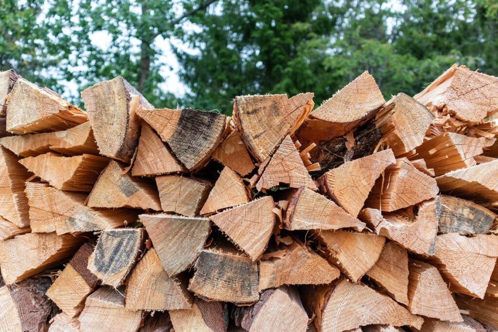 Pick the best type of firewood