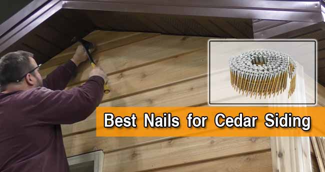 Ideal Nails for Cedar Siding: Top 5 Picks & & Reviews 2021