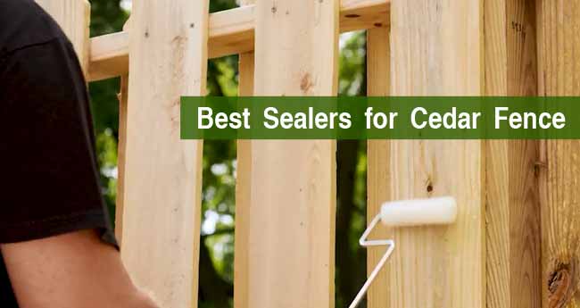 10 Best Sealer for Cedar Fence: Top Picks Reviewed 2021