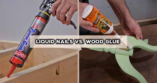 Fluid Nails vs. Wood Glue: Which One You Should Use?