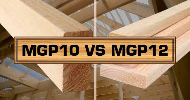MGP10 vs MGP12: Know Actual Difference Between Them?