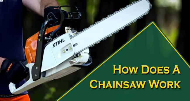 How Does a Chainsaw Work – A Guide for the Newbies