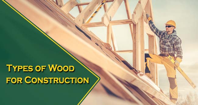 Types of Wood for Construction: Are There Any Advantages?