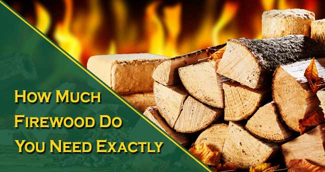 Prepare for Winter: How Much Firewood Do You Need Exactly?