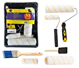 Bates Paint Roller - Paint Brush, Paint Tray, Roller Paint Brush, 11 Piece Home Painting Supplies,...