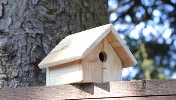 A Birdhouse