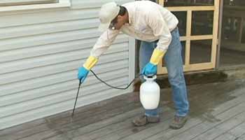 Can You Apply Water Seal with Sprayer