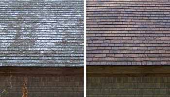 Cedar Siding Cleaner Buying Guide