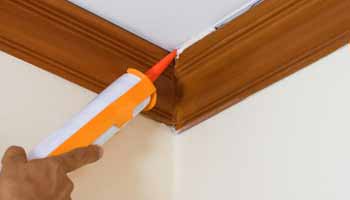 Exterior Caulk for Wood Buying Guide